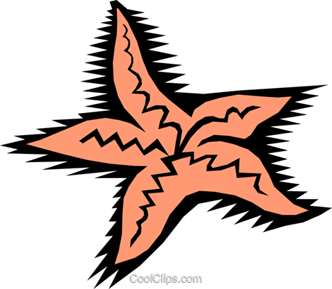 Starfish Royalty Free Vector Clip Art Illustration - Starfish Royalty Free Vector Clip Art Illustration (480x417)