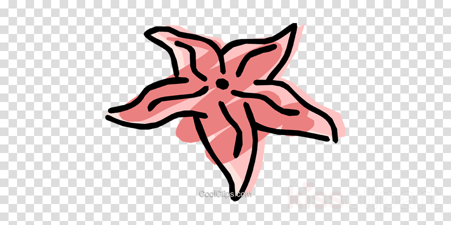 Starfish Clip Art - Icon Airplane Png (900x450)