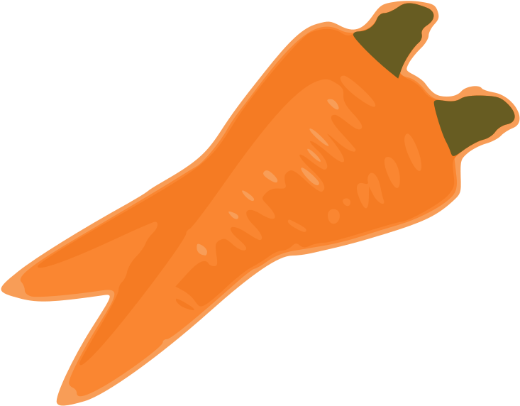 Carrot Nose Computer Icons Vegetable Drawing - Two Carrots Clipart (800x800)