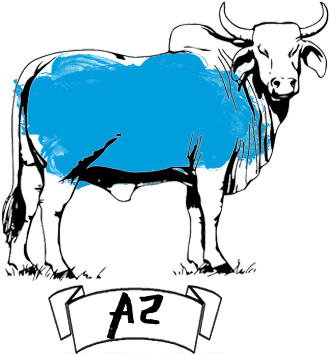 Among The Caseins, Beta Casein Is The Second Most Abundant - Pencil Sketch Of Ox (500x376)