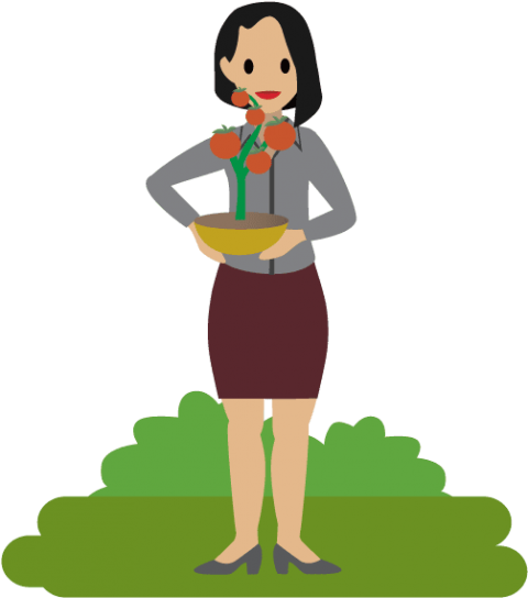 Free Png Download Tomato Png Images Background Png - Illustration (480x544)