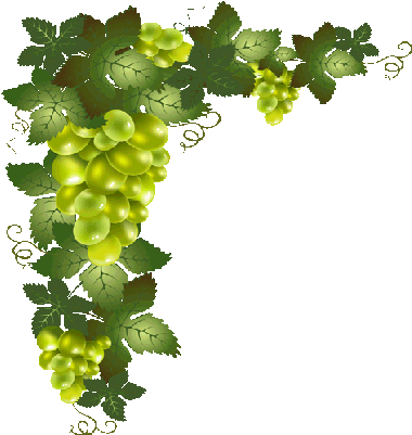 Purple Flower Vines Clipart - Transparent Background Grape Vine Png (397x414)