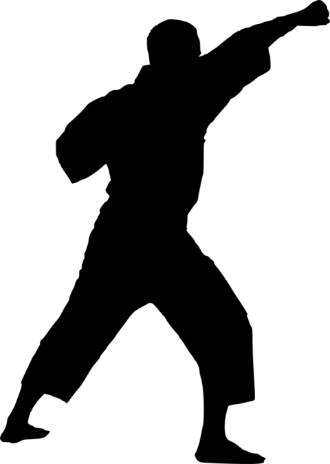 Free Png Karate Silhouette Png - Karate Silhouette Transparent (480x674)