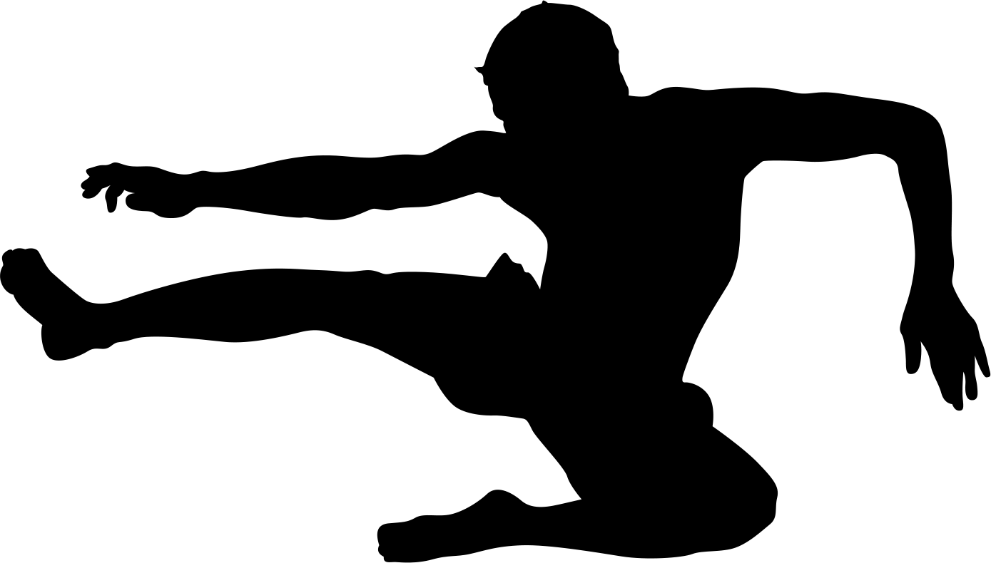 Karate Kick Silhouette - Silhouette Kung Fu Png (1389x790)