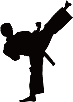 Karate Siluete Png - Martial Arts Girl Silhouette (721x406)