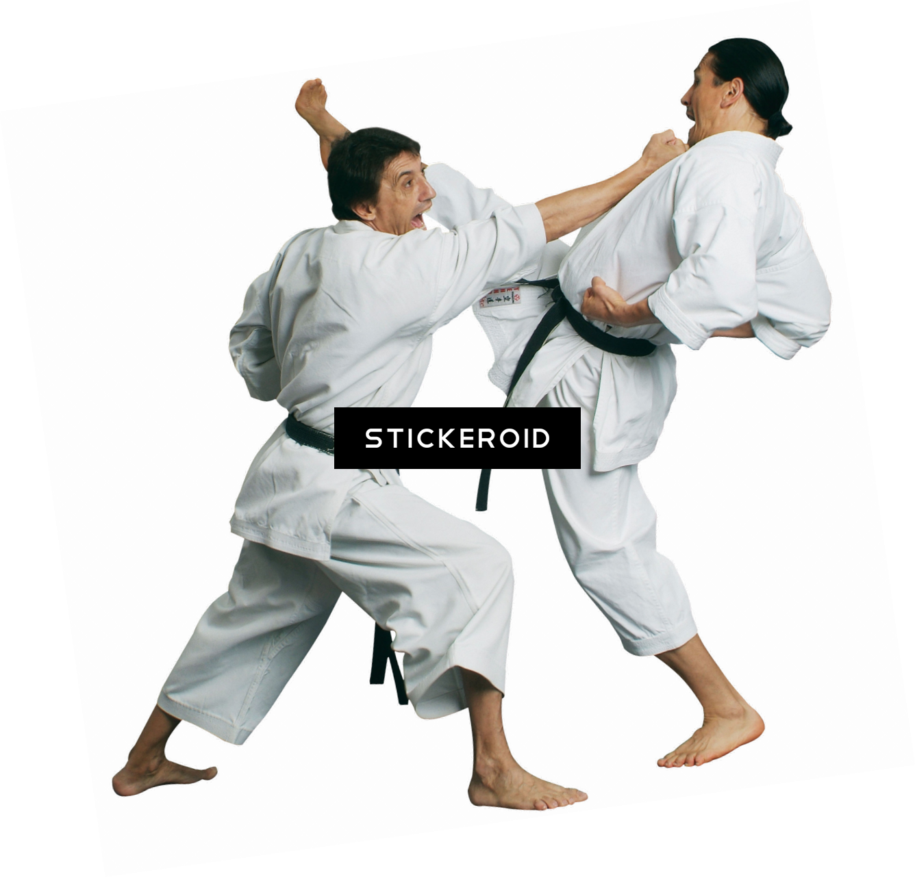 Karate Clipart Silhouette - Karate (1336x1281)