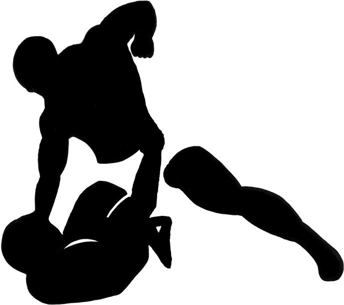 Mixed Martial Arts Clipart Transparent - Png Mma (755x690)