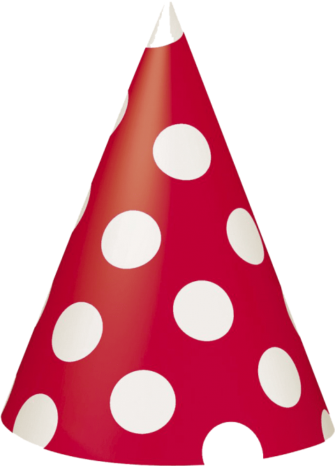 Free Png Download Polka Dot Birthday Hat Png Images - Black And White Party Hat (480x668)