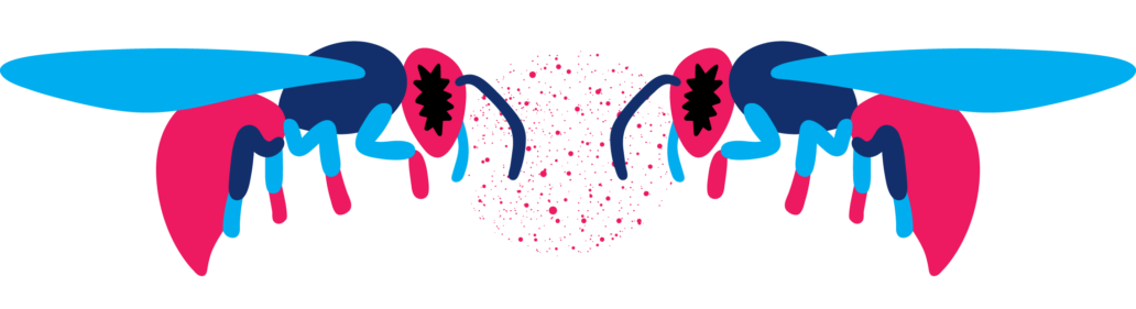 Stay The Night At Beekse Bergen - Stay The Night At Beekse Bergen (1032x281)