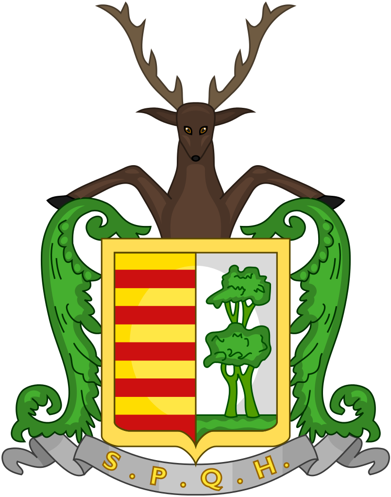 Wapen Van Hasselt - Wapenschild Hasselt (805x1023)