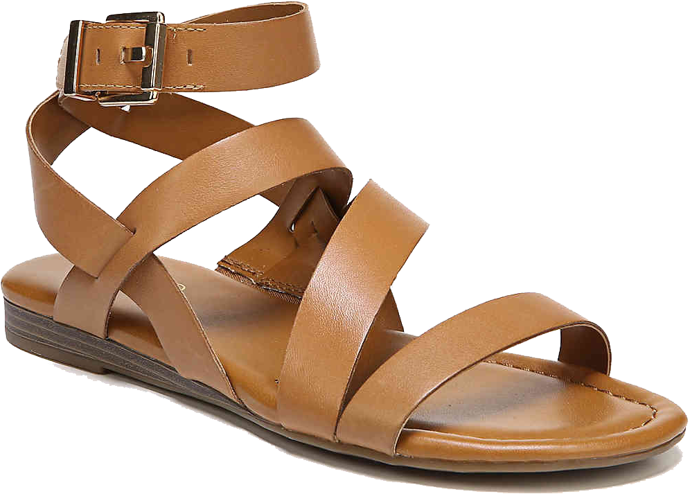 Transparent Free Png Transparent Background - Women Gladiators Sandals (1280x960)