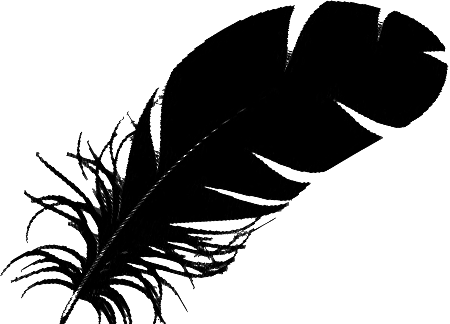 1550 X 1118 8 - Single Black Feather (1550x1118)