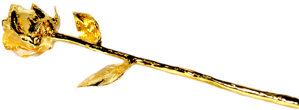 Golden Rose Png Free Download - Body Jewelry (800x530)