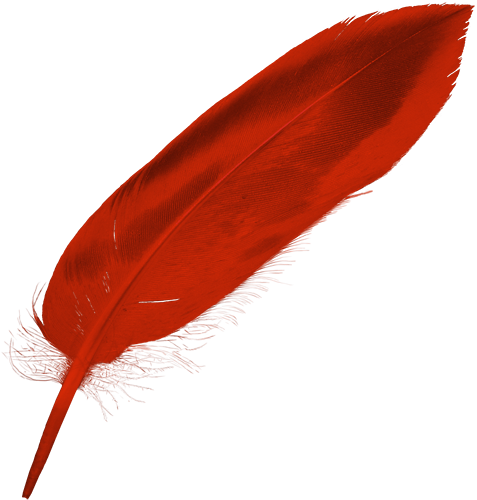 Red Feather Png - Red Feathers Png (512x512)