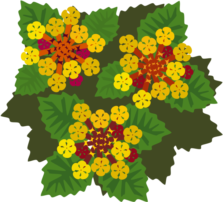 All Photo Png Clipart - All Photo Png Clipart (750x750)