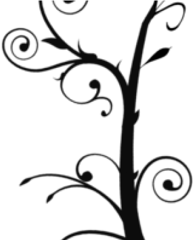 Vine Clipart Holiday - Tree Branch Clip Art (640x480)