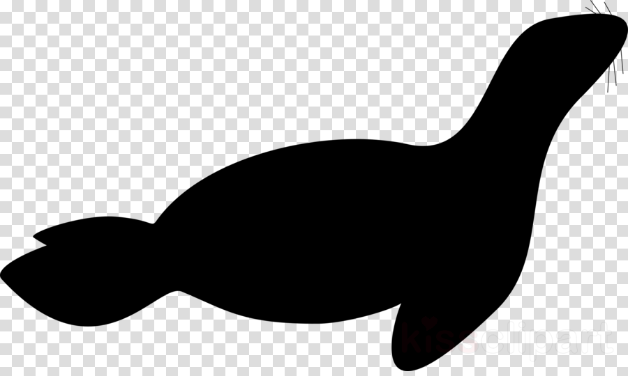 Leopard Seal Silhouette Clipart Walrus Harp Seal Clip - Clip Art (900x540)