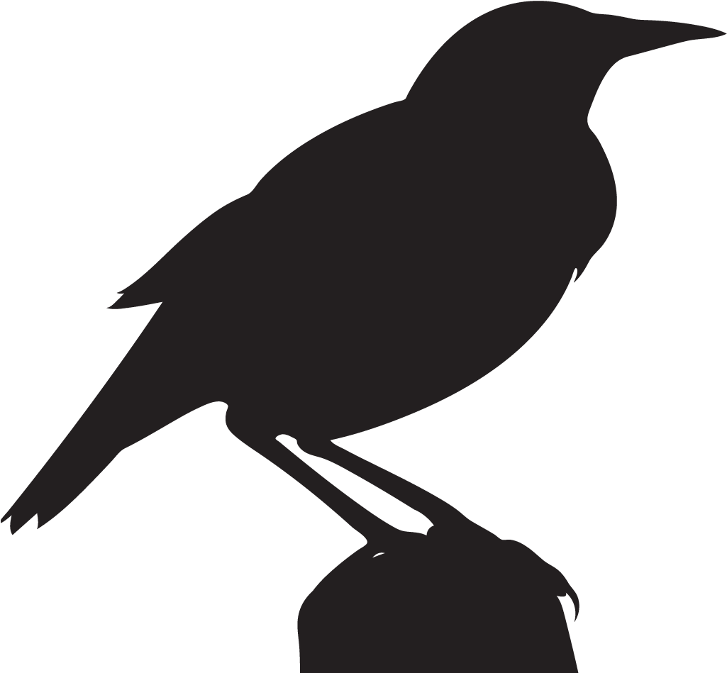 Western Meadowlark - Meadowlark Silhouette (1024x1024)