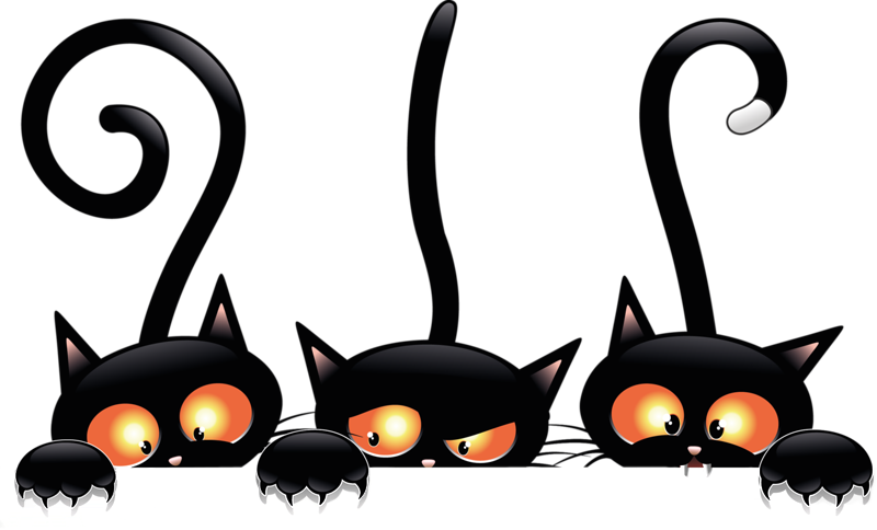 Bristling Black Cats - Black Halloween Cat Png (800x484)