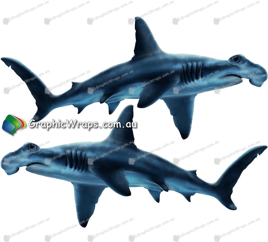 Graphic Wraps Stickers - Great White Shark (884x1073)