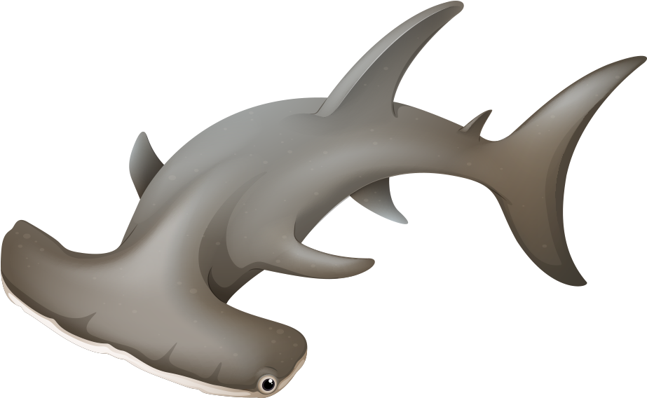 Picture Stock Shark Clip Art Transprent Png - Hammerhead Sharkclipart (1000x1000)