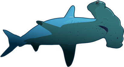 Hammerhead Shark - Tiburon Martillo Png (480x260)