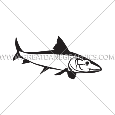 Bonefish - Bronze Hammerhead Shark (385x385)