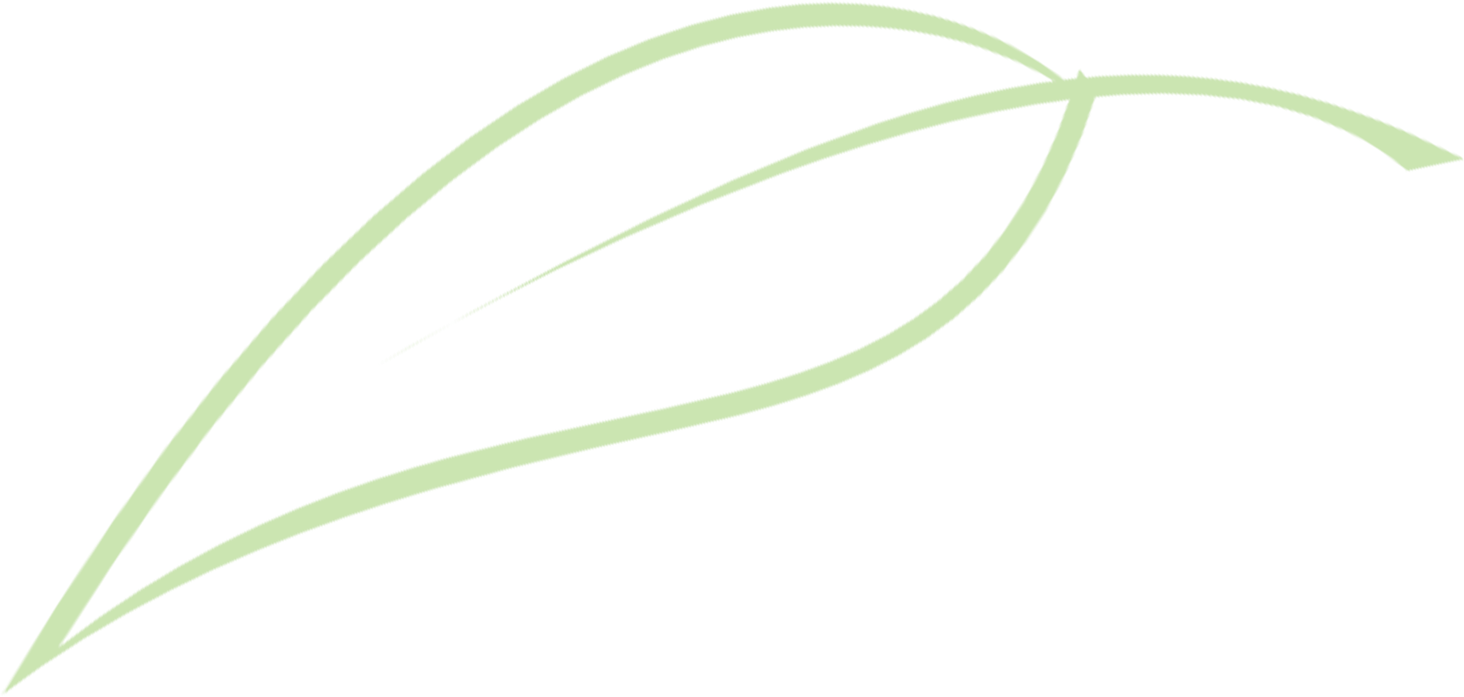 Sr Logo Leaf Watermark Accommodation Lockyer Valley - Leaf (3496x1417)