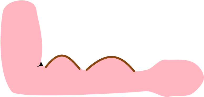 Medium Image - Medium Image (800x404)