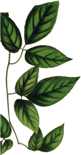 Panama - Panama (1500x1060)