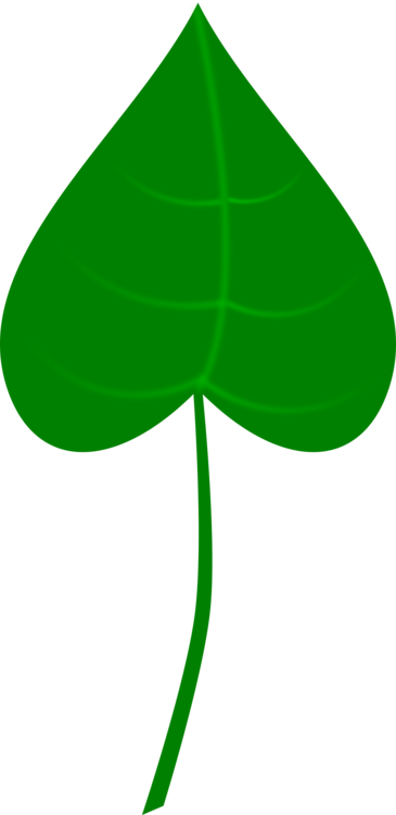 All Photo Png Clipart - All Photo Png Clipart (365x750)