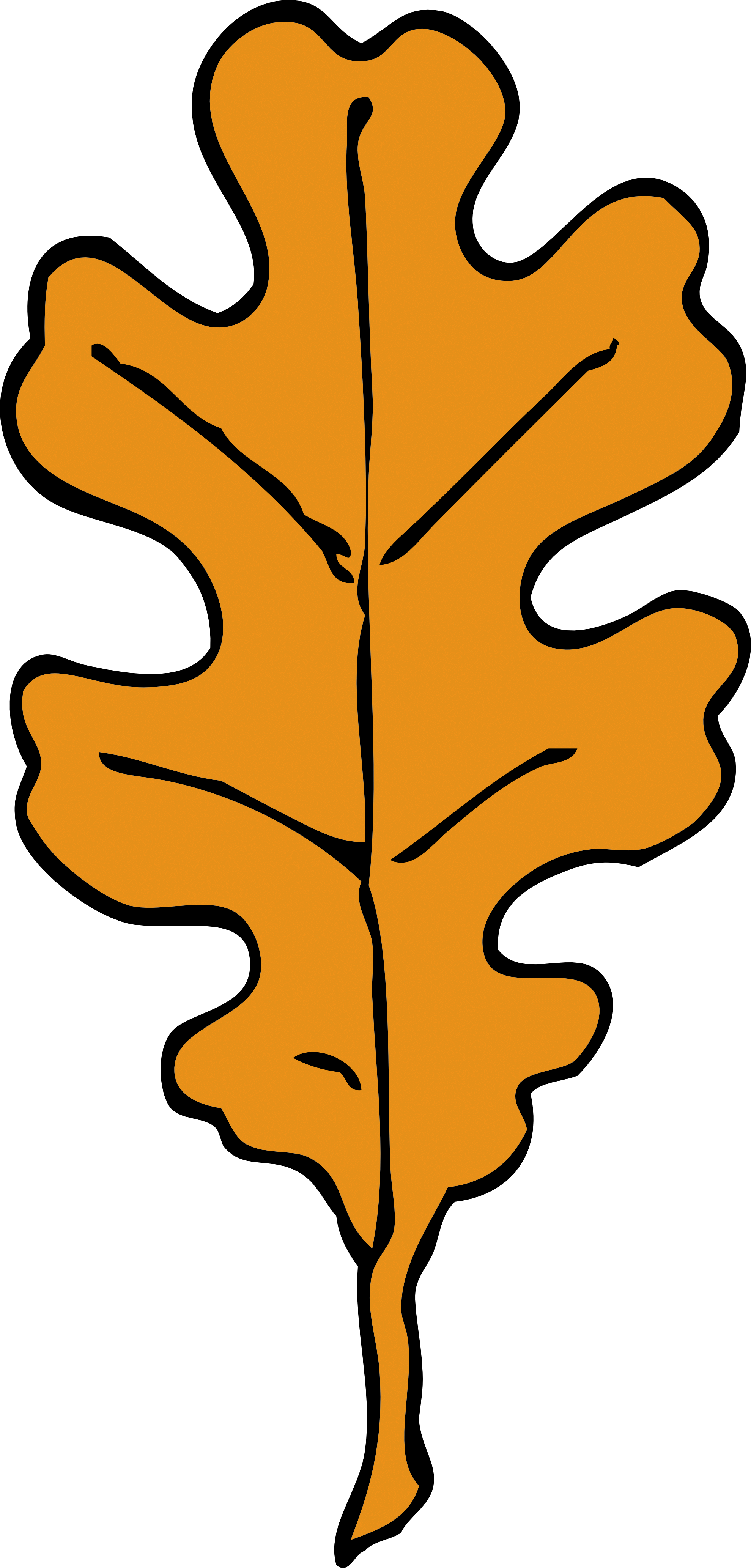 Oak Leaf Clipart - Oak Tree Leaves Cartoon (1979x4132)