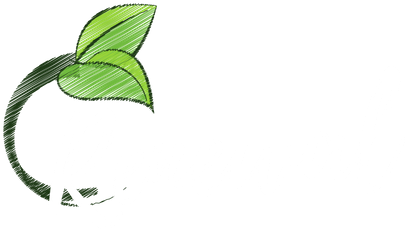 The Healthy - Illustration (560x303)