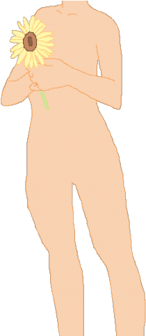 Anime Boy Clipart Base - Illustration (640x480)