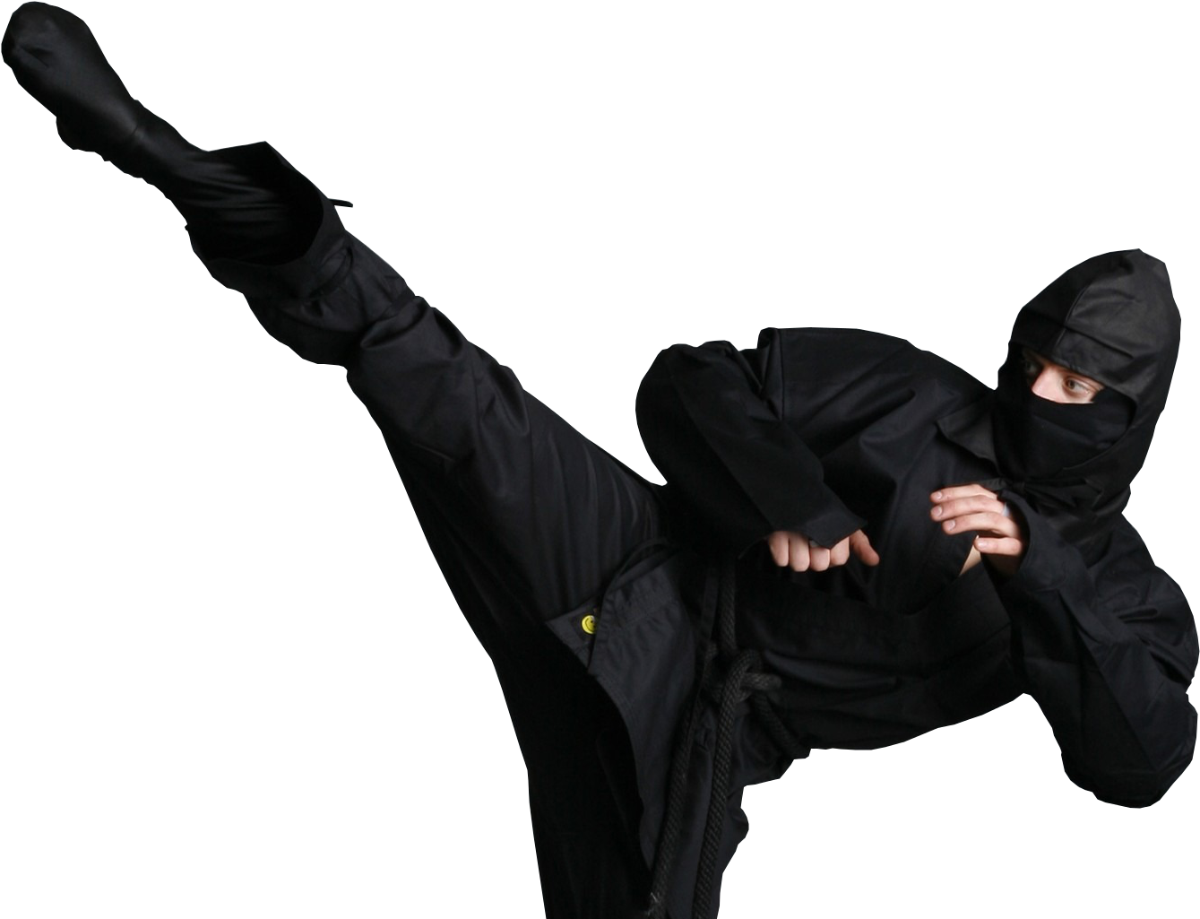 Ninja Kick Cutouts Personninja - Ninja Martial Arts (1920x1080)