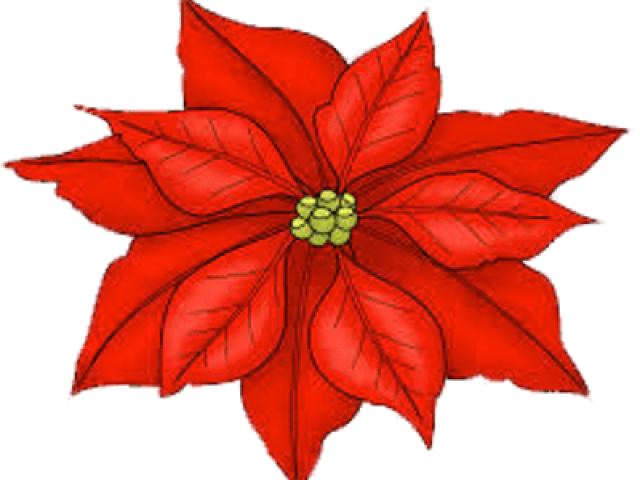 Single Clipart Poinsettia - Clipart Poinsettia Transparent Background (640x480)