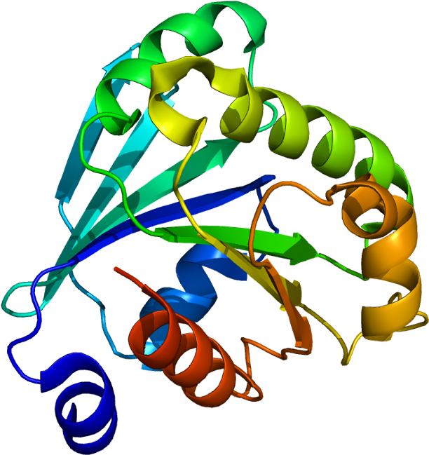 Arf Wikipedia - Arf Wikipedia (661x698)