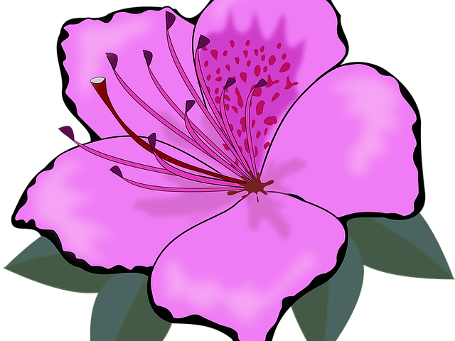 Purple Flower Clipart Big Flower - Cross Stitch Clipart Flowers (640x480)