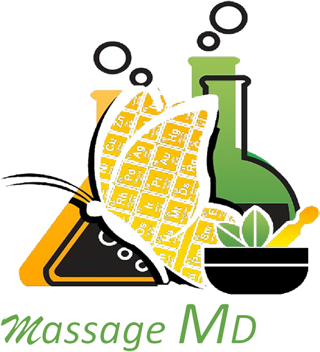 Back - Bayonet Point Middle School (507x523)