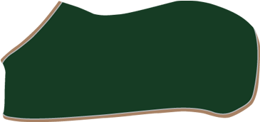 The Clothes Horse Quality Custom Horse Blankets, Tackroom - The Clothes Horse Quality Custom Horse Blankets, Tackroom (1089x430)