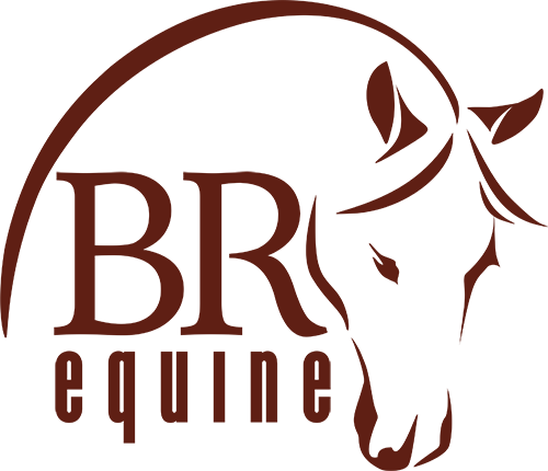Br Equine Logo - Br Equine Logo (500x430)