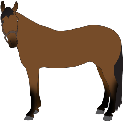 The Clothes Horse Quality Custom Horse Blankets, Tackroom - Sorrel (1089x430)
