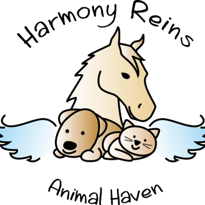 Harmony Reins - Harmony Reins (400x400)