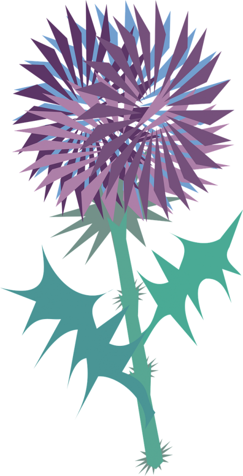 Vector Graphics - Spring Of Tampa Bay Shelter (500x980)