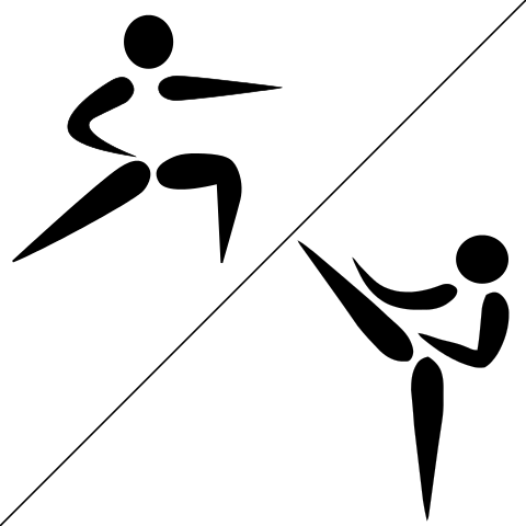 240 × 240 Pixels - Martial Arts Pictogram (480x480)
