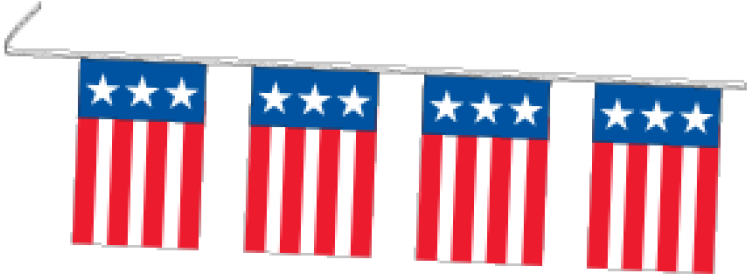 Flag Of The United States (800x800)