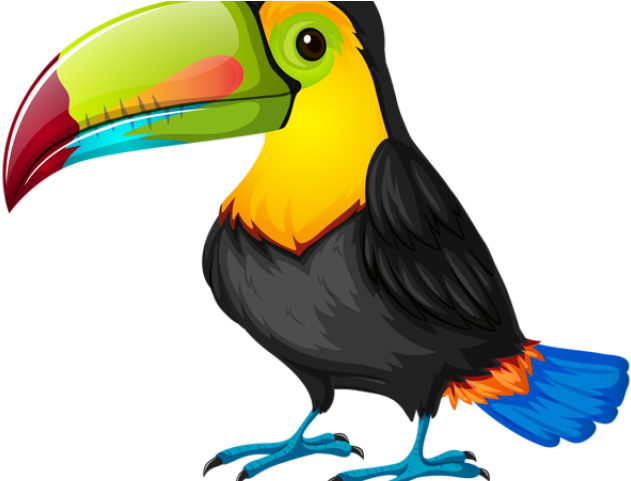 Rainforest Clipart Tucan - Toucan Bird White Background (640x480)