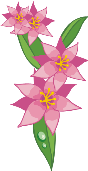 Hot Pink Flower 6 By Maxandpercy4ever - Poinsettia (300x581)