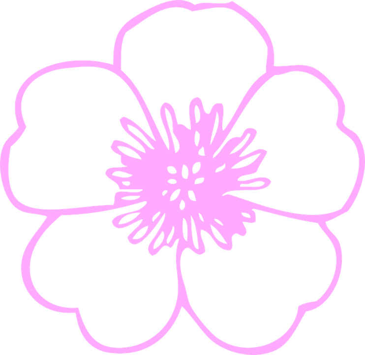 Buttercup Flower Coloring Pages (742x720)