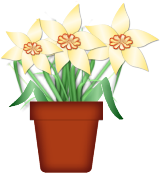 Lady Tulip (588x600)